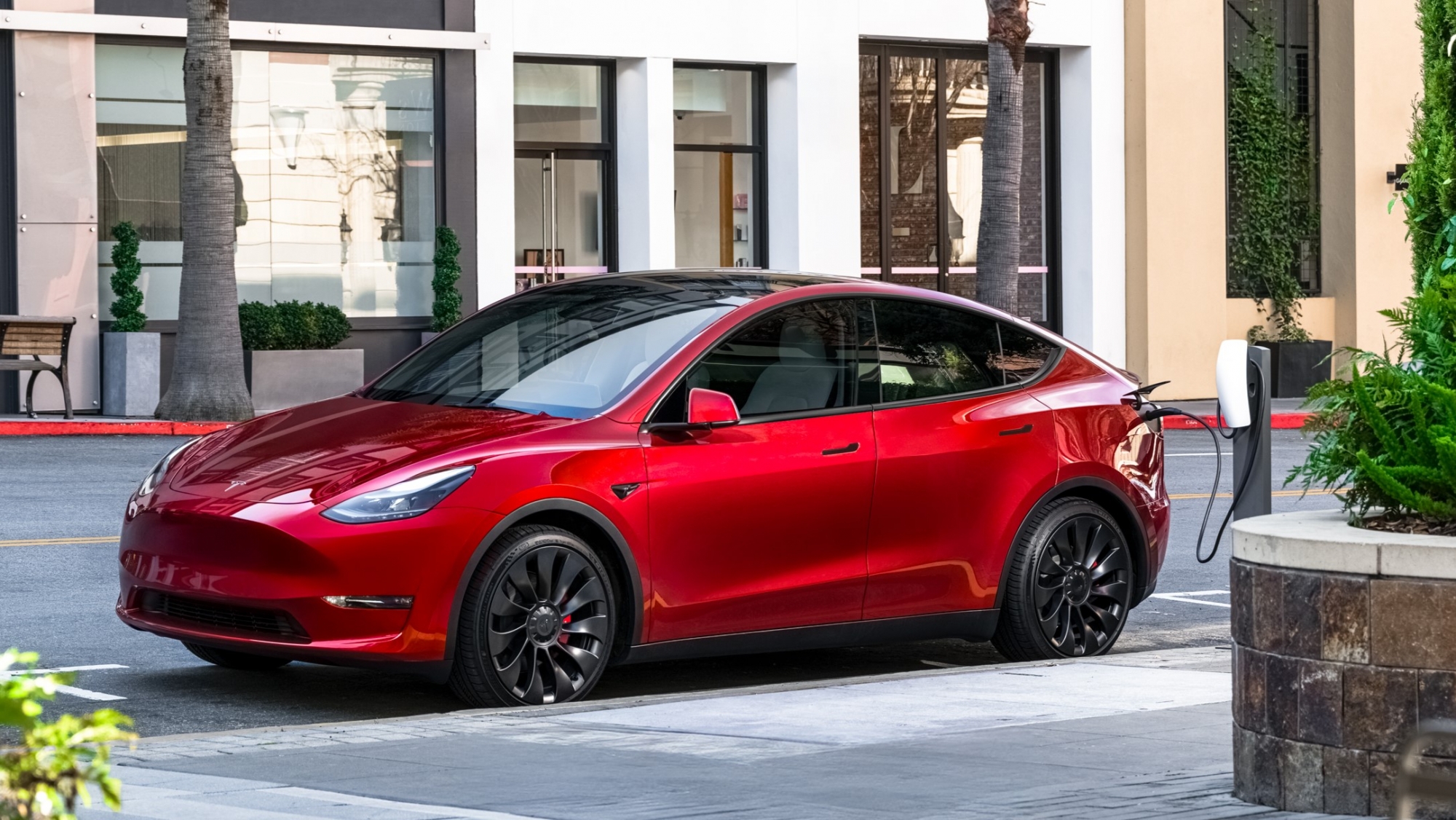 Tesla lanzará en 2025 la versión más rara del Tesla Model Y para