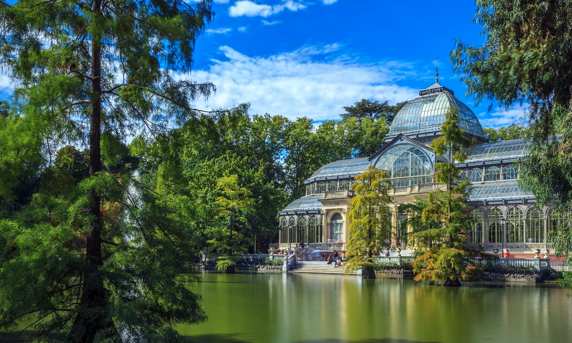 La mayoría de los ejemplares se encuentran en el Ifema (imagen del Palacio de Cristal, en el Parque del Retiro).