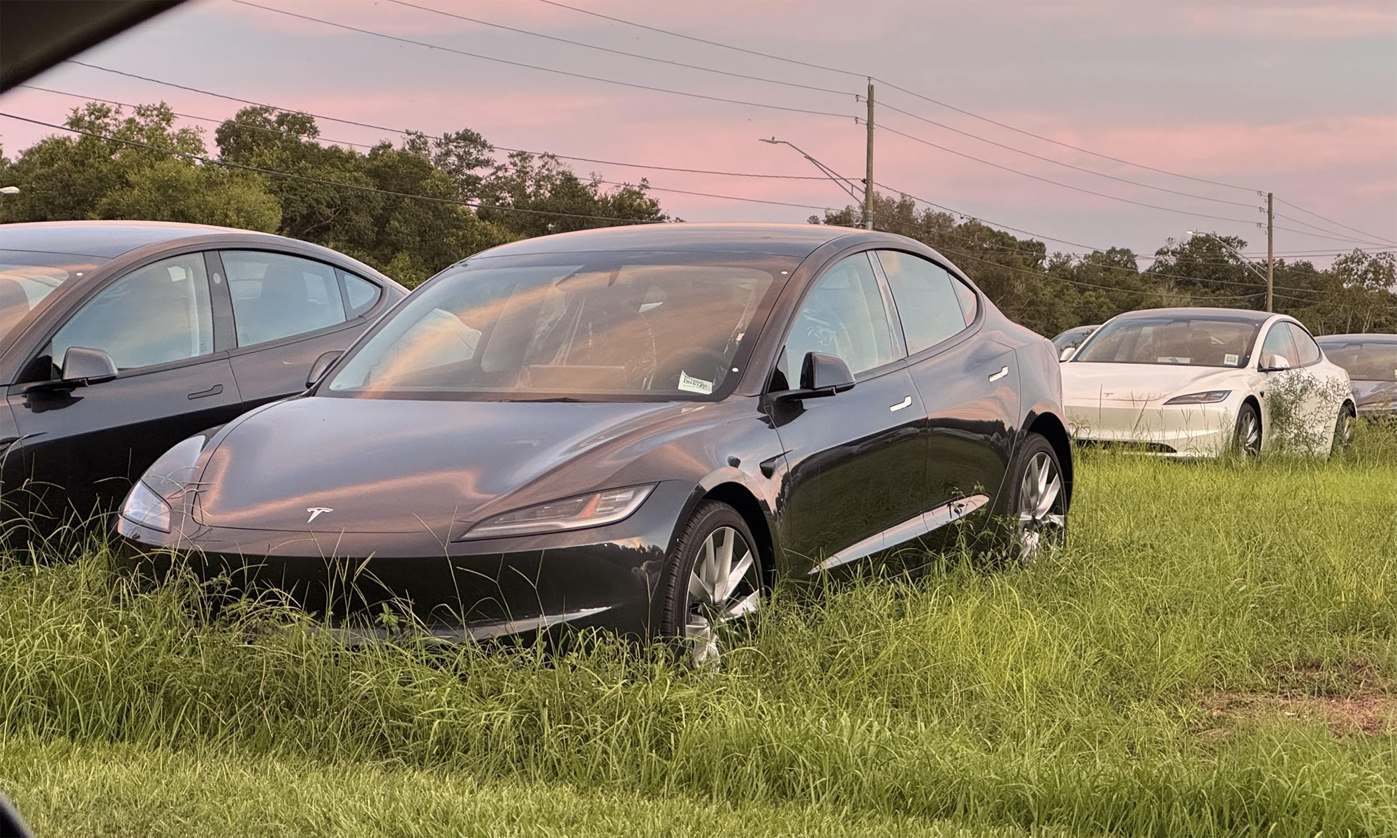 Estos Tesla Model 3 abandonados han aparecido en un prado de Florida.