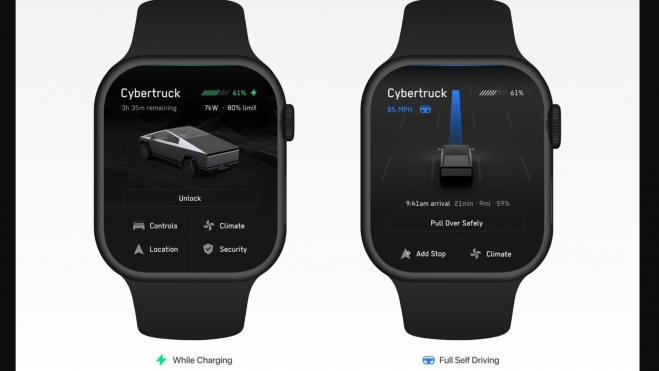 Tesla Apple Watch