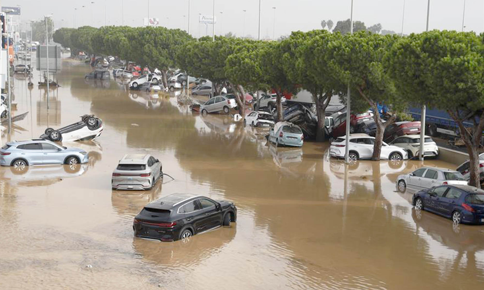 La DANA de Valencia ha arrasado la mayoría de los coches de las zonas afectadas.