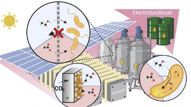 electrobiodiesel biocombustibles diesel 3