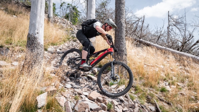 La Rotwild RX.750 Ultra es una bicicleta de 'Allmountain'.