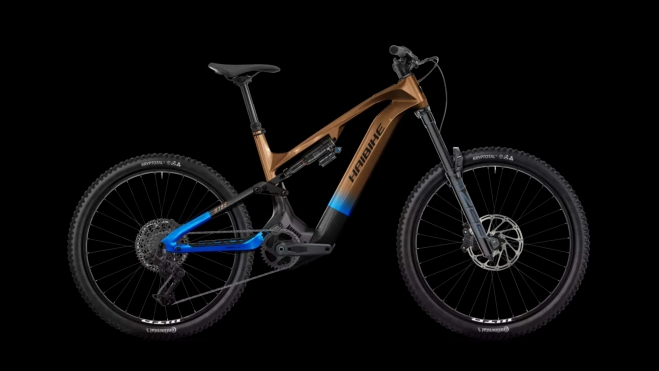 Haibike Hybe CF 9 (7.499 €).