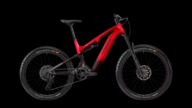 Haibike Allmtn CF 9 (6.999 €).