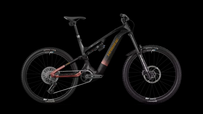 Haibike Hybe CF 11 (10.000 €).